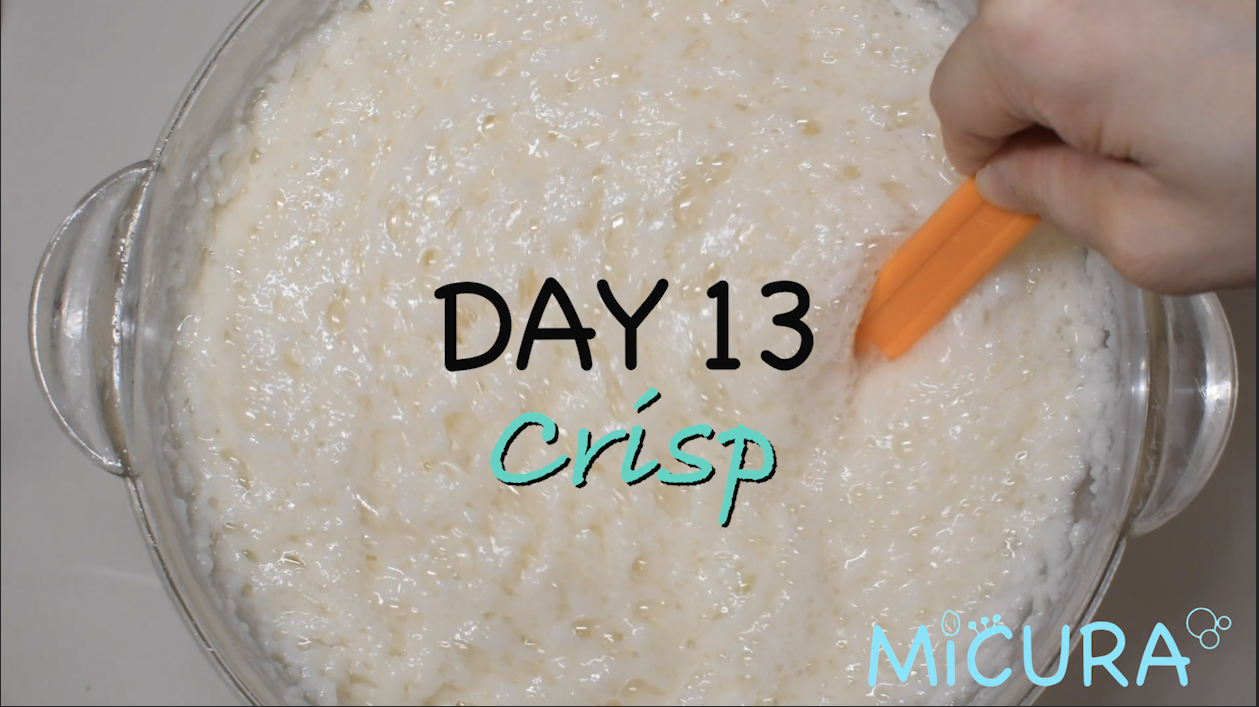 [Video] MiCURA Sake homebrewing ”Crisp" Moromi DAY 8~13 /【動画】MiCURA 日本酒自家醸造 "Crisp" 醪８〜１３日目