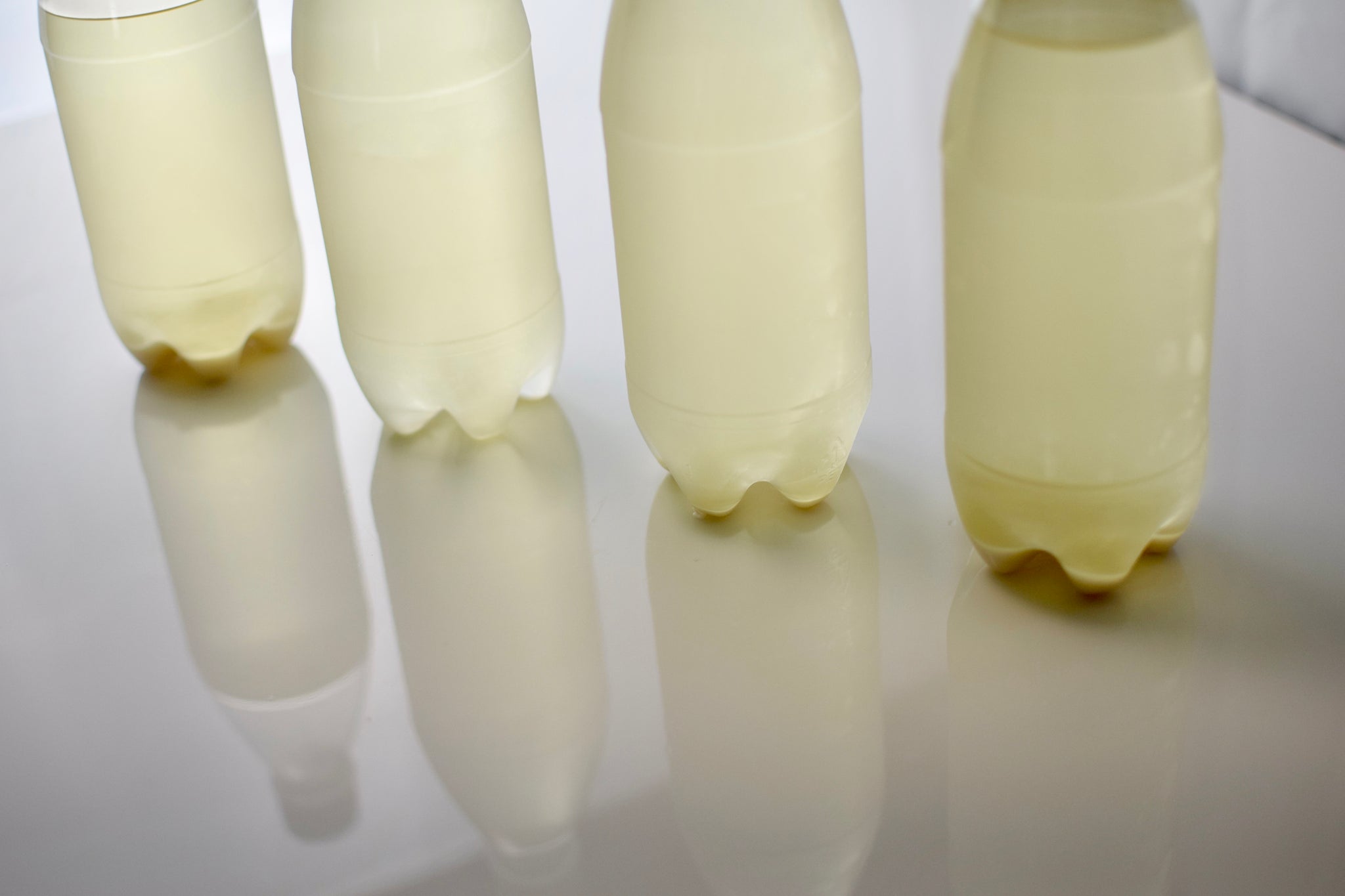 MiCURA Sake homebrewing Pressing -Sedimentation- / MiCURA 搾り -滓下げ-